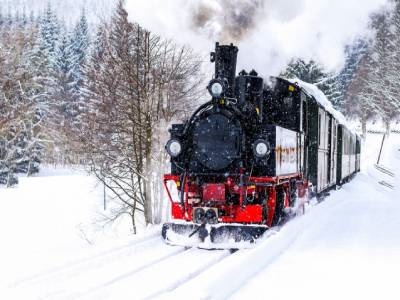 Tren Turları